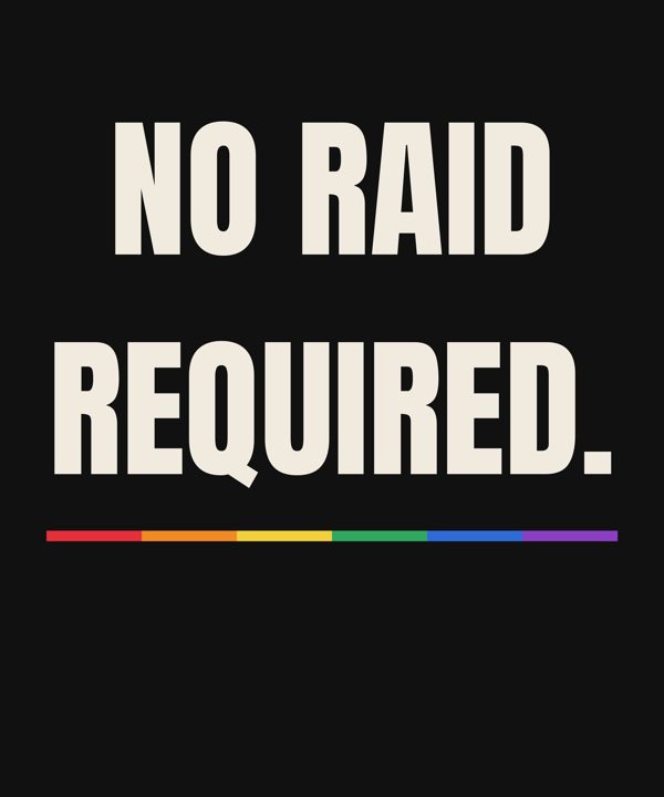No raid required tee